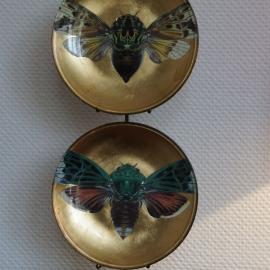 Eva Kantor | Beutestück No. 34