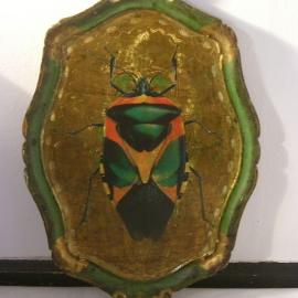 Eva Kantor | Beutestück No. 140