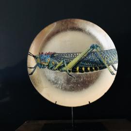 Eva Kantor | Beutestück No. 215