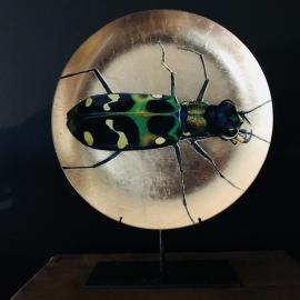 Eva Kantor | Beutestück No. 214