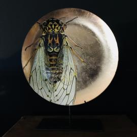 Eva Kantor | Beutestück No. 208