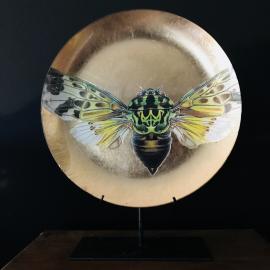 Eva Kantor | Beutestück No. 211