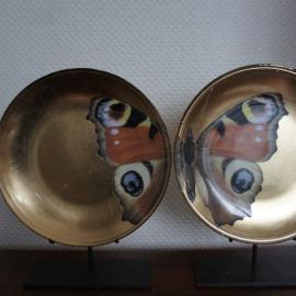 Eva Kantor | Beutestück No. 33