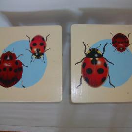 Eva Kantor | Beutestück No. 61