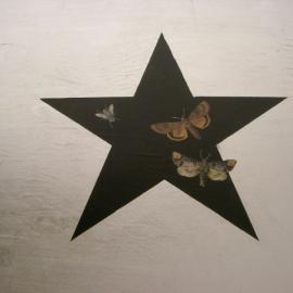 Eva Kantor | Beutestück No. 66