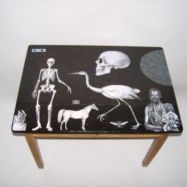 Eva Kantor | Beutestück No. 81