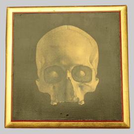 Eva Kantor | Beutestück No. 149