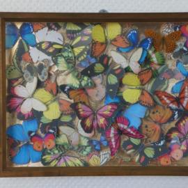 Eva Kantor | Beutestück No. 157