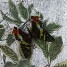 Eva Kantor | Beutestück No. 167